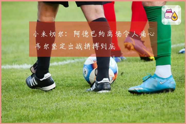 小米切尔：阿德巴约离场令人痛心 韦尔坚定出战拼搏到底