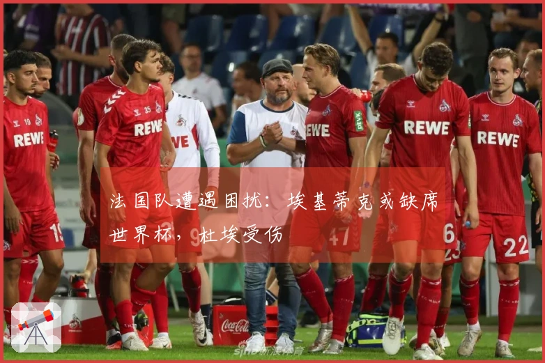 法国队遭遇困扰：埃基蒂克或缺席世界杯，杜埃受伤