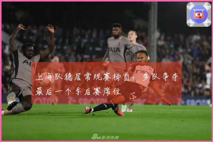 上海队稳居常规赛榜首，多队争夺最后一个季后赛席位